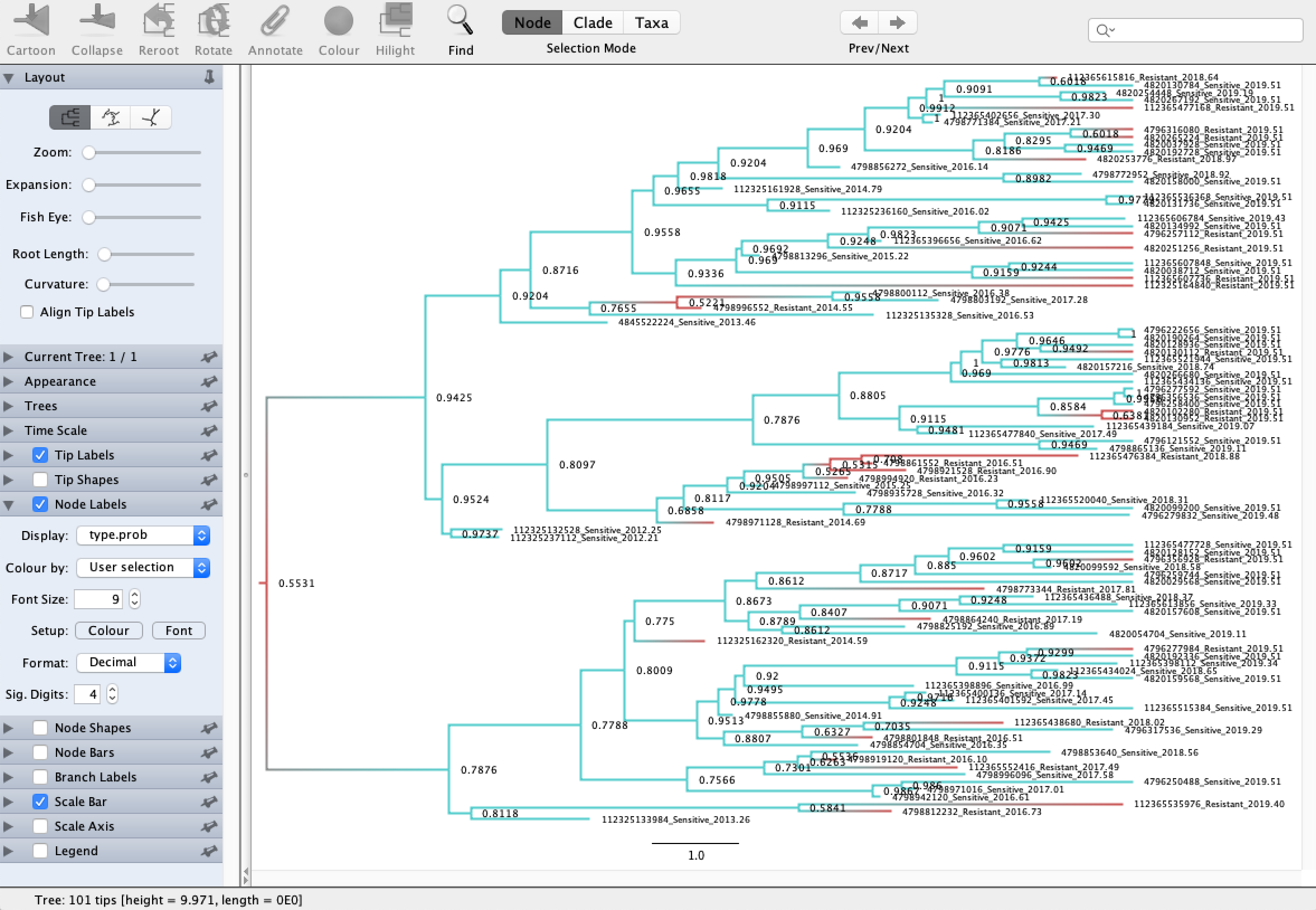Visualizing ancestral genotypes