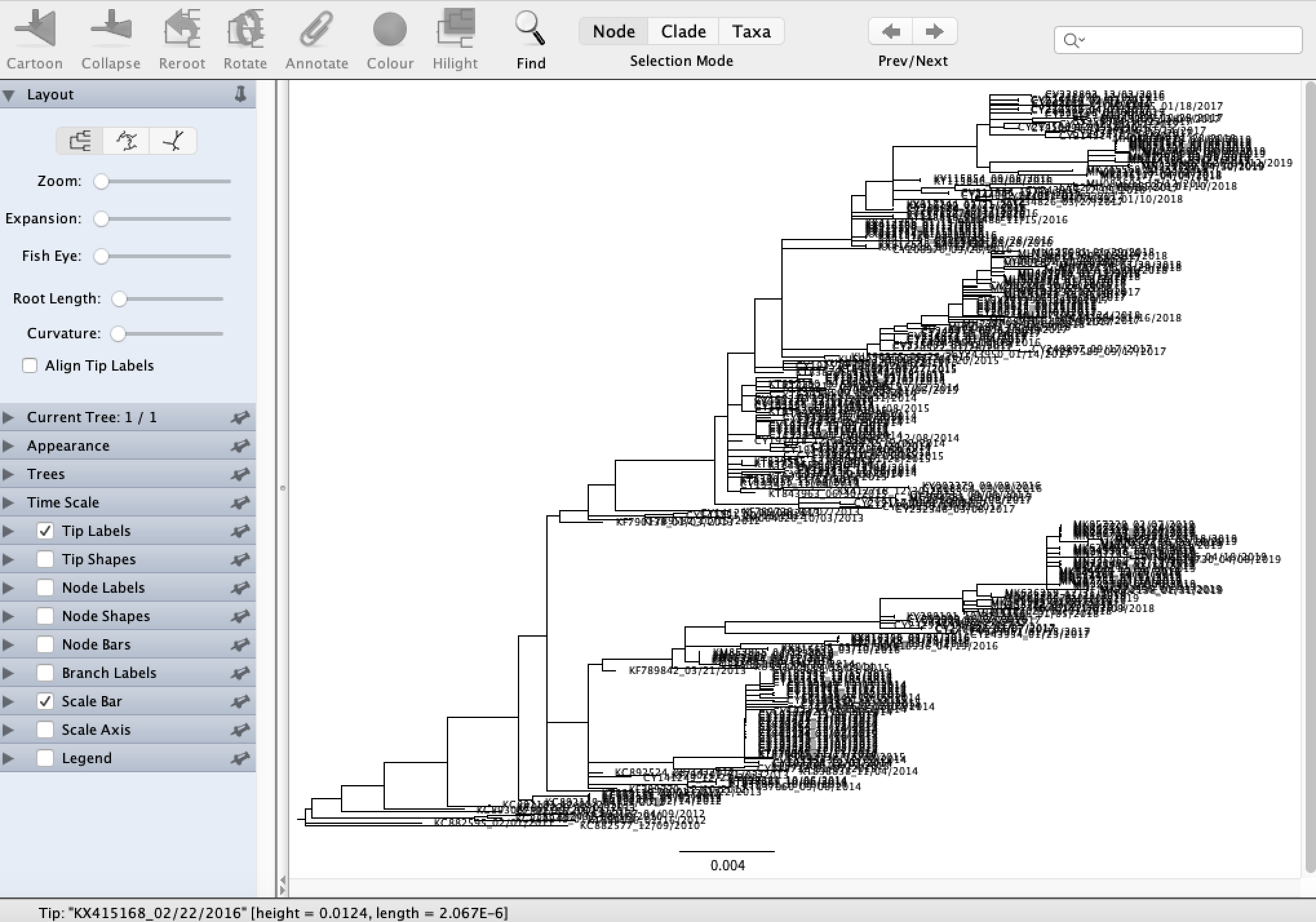 Influenza H3N2 maximum likelihood phylogeny